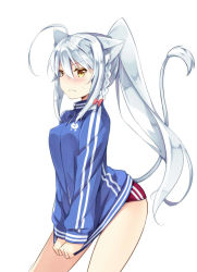 Rule 34 | 10s, 1girl, ahoge, alternate costume, alternate hairstyle, animal ears, braid, cat ears, cat tail, dog days, jacket, leonmitchelli galette des rois, long hair, natsume eri, ponytail, simple background, single braid, solo, tail, track jacket, white background, white hair, yellow eyes