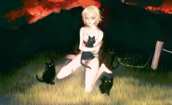 Rule 34 | 1other, androgynous, animal, bare shoulders, black cat, blonde hair, blood, blood on clothes, blood on face, cat, cropped shirt, full body, highres, holding, holding animal, holding cat, hunter x hunter, kurapika, looking at viewer, red eyes, shirt, short hair, shouka (ly880217), sitting, solo, wariza, white shirt