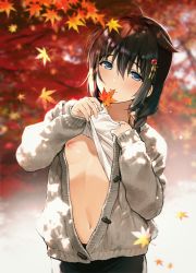 Rule 34 | 1girl, ahoge, autumn leaves, black hair, blue eyes, blush, braid, breasts, cardigan, casual, closed mouth, clothes lift, hair flaps, hair ornament, hair over shoulder, highres, kantai collection, leaf, lifting own clothes, long hair, long sleeves, looking at viewer, maple leaf, navel, nipples, no bra, one breast out, open cardigan, open clothes, shigure (kancolle), shigure kai ni (kancolle), shirt lift, small breasts, smile, solo, sweater, umakuchi shouyu