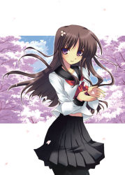 Rule 34 | brown hair, cherry blossoms, long hair, original, pantyhose, purple eyes, school uniform, serafuku, solo, yuuki tsubasa