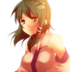 Rule 34 | 1girl, bad id, bad pixiv id, bare shoulders, breasts, closed mouth, detached sleeves, female focus, frog, green eyes, green hair, hair ornament, kochiya sanae, matching hair/eyes, norou, simple background, smirk, snake hair ornament, solo, tokoro (1969), touhou, upper body, vest, white background