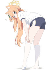 1girl ? absurdres adjusting_clothes adjusting_legwear animal_ear_fluff animal_ears bent_over black_shorts blue_archive blue_eyes cat_ears commentary_request flower full_body gym_uniform hair_flower hair_ornament halo highres kneehighs long_hair looking_at_viewer mari_(blue_archive) mari_(track)_(blue_archive) orange_hair shirt short_sleeves shorts simple_background socks solo standing unamaso white_background white_shirt white_socks yellow_halo