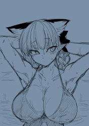 Rule 34 | 1girl, :/, animal ear fluff, animal ears, armpits, arms up, braid, breasts, cat ears, cleavage, collarbone, kaenbyou rin, large breasts, looking to the side, mizuga, monochrome, pointy ears, sketch, solo, touhou, twin braids, wet