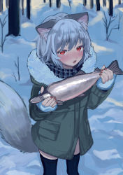 Rule 34 | 1girl, absurdres, animal, animal ear fluff, animal ears, black thighhighs, blue gloves, blush, commentary, eyebrows hidden by hair, fang, fingerless gloves, fish, fur-trimmed hood, fur trim, gloves, green jacket, grey hair, highres, holding, holding animal, hood, hood down, hooded jacket, inchore, jacket, long sleeves, looking at viewer, nail polish, open mouth, original, outdoors, red eyes, red nails, snow, solo, standing, symbol-only commentary, tail, thighhighs, tree