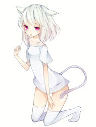 Rule 34 | 1girl, animal ears, bare shoulders, bottomless, cat ears, cat girl, cat tail, female focus, highres, kneeling, off shoulder, open mouth, original, pink eyes, red eyes, shirt, simple background, solo, t-shirt, tail, thighhighs, toma tokage, white background, white hair, white thighhighs, zettai ryouiki