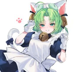 Rule 34 | 1girl, animal ears, apron, bell, black dress, blush, cat ears, cat girl, cat tail, dejiko, di gi charat, dress, forehead, gloves, green eyes, green hair, hair intakes, highres, jingle bell, looking at viewer, maid apron, mendou kusai, paw pose, short sleeves, simple background, smile, solo, tail, teeth, white background, white gloves
