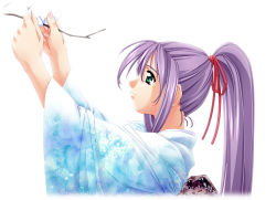 Rule 34 | f-ism, green eyes, japanese clothes, kimono, long hair, murakami suigun, ponytail, purple hair, solo