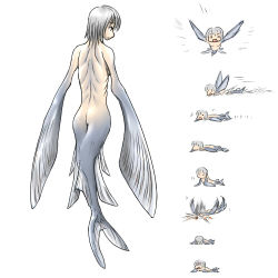 Rule 34 | artist request, ass, character sheet, fish, flying fish, lowres, mermaid, monster girl, nude, tagme, tail, white hair