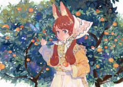 Rule 34 | 1girl, animal ear fluff, animal ears, apron, blue eyes, chin strap, closed mouth, dappled sunlight, day, dress, floral print, food, fruit, fruit tree, hair over shoulder, highres, holding, holding food, holding fruit, jamu (yakinikuoi4), long hair, long sleeves, looking at viewer, low twintails, maid headdress, nature, orange (fruit), orange shirt, original, outstretched arm, pinafore dress, print dress, rabbit ears, rabbit girl, red hair, shirt, sleeveless dress, solo, sunlight, tree, twintails, upper body, waist apron, white apron, white background