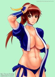 Rule 34 | 1girl, abs, artist name, breasts, brown eyes, brown hair, choker, dead or alive, elee0228, hair ribbon, highres, hybridmink, kasumi (doa), long hair, navel, open clothes, ponytail, ribbon, solo, tecmo, transparent background