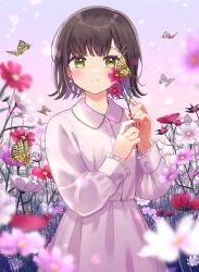 Rule 34 | 1girl, blunt bangs, blurry, blurry foreground, blush, brown hair, bug, butterfly, closed mouth, commentary, dress, earrings, floral background, flower, flower earrings, forehead, frilled sleeves, frills, grass, green eyes, holding, insect, jewelry, long sleeves, looking at viewer, mizuki (lvo0x0ovl), nail polish, original, outdoors, petals, pink dress, pink flower, red flower, red nails, short hair, smile, solo, split mouth, tall grass, white flower