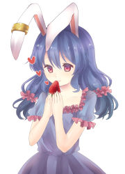 Rule 34 | 1girl, animal ears, blue dress, blue hair, blush, dress, earclip, food, frilled dress, frilled ribbon, frills, fruit, hair between eyes, hair ribbon, heart, highres, low twintails, minomushi (mino kkgt), rabbit ears, red eyes, red ribbon, ribbon, seiran (touhou), simple background, smile, solo, strawberry, touhou, twintails, upper body, white background