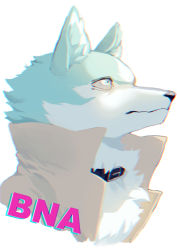 Rule 34 | 1boy, absurdres, animal ear fluff, animal ears, animal nose, aqua eyes, aqua fur, body fur, brand new animal, brown coat, chromatic aberration, closed mouth, coat, collar, copyright name, furry, furry male, highres, looking up, male focus, mayumochini, ogami shirou, portrait, simple background, snout, solo, two-tone fur, upper body, white background, white fur, wolf boy, wolf ears