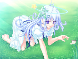 Rule 34 | 1girl, 77, ahoge, bad anatomy, bad feet, barefoot, blue eyes, blue hair, bug, butterfly, feet, female focus, game cg, grass, highres, insect, kuu (77), long hair, matching hair/eyes, nature, outdoors, pentagram, poorly drawn, soles, solo, star (symbol), tenmaso, toes