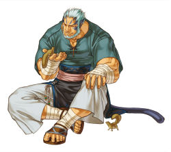 Rule 34 | 1boy, animal, animal ears, aqua hair, bandages, beard, cat tail, chipmunk, cross-laced clothes, cross-laced top, facial hair, fire emblem, fire emblem: path of radiance, highres, kita senri, male focus, mordecai, nintendo, official art, pointy ears, simple background, solo, squirrel, tail, white background