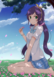 Rule 34 | 10s, 1girl, barefoot, blue eyes, blue skirt, bow, bowtie, buttons, dappled sunlight, day, flower, grass, green eyes, hair ribbon, highres, love live!, love live! school idol project, low twintails, nagou nono, no legwear, outdoors, petals, purple hair, ribbon, scrunchie, sitting, skirt, smile, solo, sunlight, tojo nozomi, tree, twintails, wariza