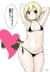 Rule 34 | 1girl, arm behind head, armpits, artist name, bikini, black bikini, blonde hair, blue eyes, breasts, breasts apart, commentary request, contrapposto, dachshund, erica hartmann, gluteal fold, head tilt, heart, highres, looking at viewer, micro bikini, navel, parted lips, shigekikkusu, short hair, side-tie bikini bottom, signature, simple background, skindentation, small breasts, solo, split mouth, standing, strike witches, swimsuit, thighs, translation request, white background, world witches series