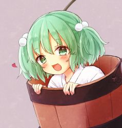 Rule 34 | 1girl, :d, bad id, bad twitter id, blush, bucket, green eyes, green hair, hair bobbles, hair ornament, heart, honotai, in bucket, in container, japanese clothes, kimono, kisume, looking at viewer, matching hair/eyes, open mouth, short hair, smile, solo, tareme, touhou, two side up