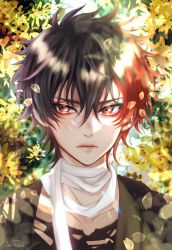 Rule 34 | 1boy, absurdres, brown hair, closed mouth, facing viewer, highres, hizen tadahiro, leaf, looking to the side, male focus, multicolored hair, red eyes, red hair, scarf, short hair, solo, touken ranbu, tree, zasikirou