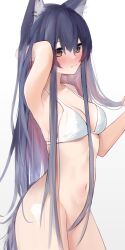 Rule 34 | 1girl, absurdres, animal ears, arknights, arm up, armpits, bare shoulders, bikini, bikini top only, black hair, blush, bottomless, breasts, brown eyes, commentary request, cowboy shot, gradient background, grey background, hand up, highres, kotoha (kotoha65), long hair, looking at viewer, navel, small breasts, solo, standing, stomach, swimsuit, texas (arknights), thighs, very long hair, white background, wolf ears