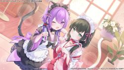 2girls ;d animal_ears apron arms_up assault_lily back_bow bell black_bow black_bowtie black_dress black_hair blunt_bangs blurry blurry_background blush bow bowtie braid breasts cat_ears cat_tail cleavage closed_mouth collar commentary_request cowboy_shot day dress dress_bow dutch_angle fake_animal_ears fake_tail frilled_apron frilled_collar frilled_dress frilled_hair_tubes frills green_eyes hair_between_eyes hair_over_shoulder hair_ribbon hair_tubes highres indoors jewelry jingle_bell komachi_pochi layered_dress light_particles long_hair long_sleeves looking_at_viewer low_ponytail low_twin_braids low_twintails maid_headdress medium_breasts multiple_girls neck_bell official_alternate_costume official_art one_eye_closed open_mouth paw_pose pink_apron pink_bow pink_ribbon plant potted_plant purple_bow purple_eyes purple_hair red_bow red_bowtie red_dress ribbon ribbon-trimmed_sleeves ribbon_trim ring siblings side_ponytail sisters smile standing tail twin_braids twintails two-tone_dress wang_lifen wang_yujia watermark white_apron white_collar white_dress wide_sleeves window wooden_floor