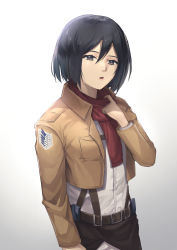 Rule 34 | 1girl, absurdres, belt, belt buckle, black eyes, black hair, brown belt, brown jacket, buckle, dress shirt, hair between eyes, highres, jacket, long sleeves, medium hair, mikasa ackerman, open clothes, open jacket, open mouth, paradis military uniform, pepeo, red scarf, scarf, shingeki no kyojin, shirt, solo, standing, straight hair, suspenders, three-dimensional maneuver gear, white background, white shirt, wing collar