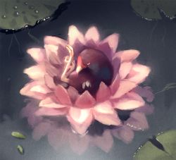 Rule 34 | artist name, bad id, bad pixiv id, bird, commentary request, flower, lake, leaf, lotus, manino (mofuritaionaka), no humans, original, reflection, scenery, signature