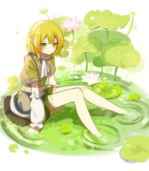 Rule 34 | 1girl, absurdres, black skirt, blonde hair, blush, brown shirt, chinese commentary, closed mouth, commentary request, expressionless, flat chest, flower, full body, green eyes, half updo, highres, lily pad, looking at viewer, lotus, medium bangs, mizuhashi parsee, parsee day, pink flower, pointy ears, ripples, sash, scarf, shen bi ren (user rjgy2824), shirt, short hair, short sleeves, sitting, sitting on water, skirt, solo, touhou, water, white background, white sash, white scarf