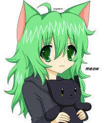 Rule 34 | 1girl, :3, ahoge, animal, animal ears, black cat, cat, cat ears, cat girl, closed mouth, commentary, dimden (character), english commentary, green eyes, green hair, grey hoodie, hair between eyes, holding, holding animal, holding cat, hood, hood down, hoodie, jaggy lines, kigidere, long sleeves, looking at viewer, original, simple background, solo, upper body, white background