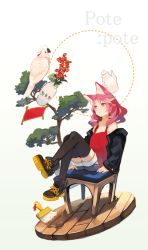 Rule 34 | 1girl, animal ears, bare shoulders, bird, black thighhighs, bonsai, boots, brush, cachu, chair, coat, flower, flower pot, full body, original, parrot, pink hair, plant, red eyes, shorts, simple background, sitting, solo, tank top, teapot, thighhighs, tree, vase, white background
