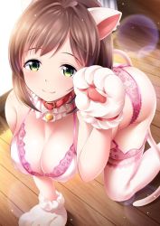 Rule 34 | 10s, 1girl, :3, all fours, animal ears, animal hands, bad id, bad twitter id, bare shoulders, bell, blush, bra, breasts, brown hair, cat ears, cat paws, cat tail, choker, cleavage, collar, covered erect nipples, floral print, frilled choker, frills, garana, garter straps, green eyes, idolmaster, idolmaster cinderella girls, kneeling, lace, large breasts, lens flare, looking at viewer, maekawa miku, neck bell, panties, paw pose, pink bra, pink panties, pink thighhighs, short hair, smile, solo, sunlight, tail, thighhighs, thighs, underwear