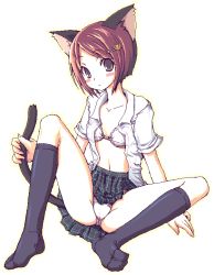 Rule 34 | 1girl, animal ears, blush, blush stickers, bra, brown eyes, brown hair, cat ears, cat tail, crotch, female focus, full body, hair ornament, hairpin, holding, holding with tail, kneehighs, legs, looking at viewer, matching hair/eyes, navel, no shoes, open clothes, open shirt, panties, plaid, plaid skirt, pleated skirt, prehensile tail, shirt, short hair, simple background, sitting, skirt, socks, solo, spread legs, tail, thighs, underwear, white background, white bra, white panties