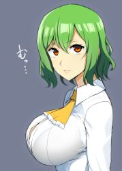 Rule 34 | 1girl, ascot, bra, breasts, bursting breasts, commentary request, from side, green hair, grey background, hair between eyes, highres, impossible clothes, impossible shirt, kazami yuuka, large breasts, lipstick, long sleeves, looking at viewer, makeup, mattari yufi, red eyes, shirt, short hair, simple background, solo, touhou, translation request, underwear, upper body, white shirt