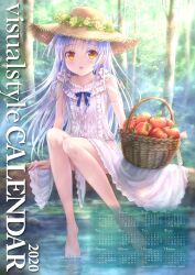 Rule 34 | 1girl, 2020, absurdres, alternate costume, angel beats!, apple, barefoot, basket, blue ribbon, blush, calendar (medium), center frills, commentary request, day, dress, english text, feet, floating hair, flower wreath, food, forest, frilled dress, frills, fruit, full body, goto p, hat, highres, knees together feet apart, legs, long hair, looking at viewer, nature, open mouth, outdoors, ribbon, second-party source, sitting, smile, soaking feet, solo, straight-on, straw hat, tachibana kanade, toes, tree, water, white dress, white hair, yellow eyes