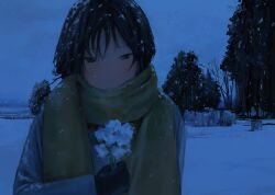 Rule 34 | 1girl, absurdres, as4kla, black eyes, black gloves, black hair, blush, closed mouth, commentary, flower, gloves, grey jacket, hashtag-only commentary, highres, holding, holding flower, jacket, long sleeves, looking at viewer, original, outdoors, scarf, short hair, snow, snow on head, solo, tree, upper body, winter, winter clothes, yellow scarf