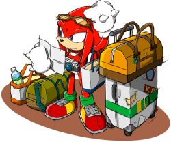 Rule 34 | camera, confused, glasses, knuckles the echidna, luggage, map, official art, purple eyes, sega, sonic (series), sunglasses