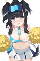 Rule 34 | 1girl, :o, absurdres, animal ears, black hair, blue archive, blunt bangs, blush, breasts, cleavage, closed eyes, commentary request, dog ears, dog girl, dog tail, eyewear on head, grey eyes, halo, hibiki (blue archive), hibiki (cheer squad) (blue archive), highres, holding, holding pom poms, leaning forward, long hair, looking at viewer, medium breasts, micchamu, millennium cheerleader outfit (blue archive), navel, official alternate costume, pleated skirt, pom pom (cheerleading), pom poms, ponytail, sidelocks, simple background, skirt, sleeveless, smile, solo, stomach, sunglasses, tail, white background