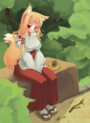 Rule 34 | 1girl, amasa mitsunaru, animal ears, bench, blonde hair, blush, breasts, covered erect nipples, drink, fox ears, fox tail, hair ornament, hakama, hakama skirt, highres, impossible clothes, japanese clothes, large breasts, leaf, long hair, miko, nature, original, outdoors, red eyes, red hakama, sandals, sitting, skirt, smile, socks, solo, stick, tail, tray, tree