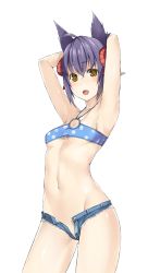 Rule 34 | 1girl, ahoge, animal ears, armpits, arms up, bad id, bad pixiv id, bandeau, bikini, bikini top only, breasts, brown eyes, contrapposto, cowboy shot, gluteal fold, hair ornament, halterneck, highres, looking at viewer, midriff, nakamura nagare, navel, o-ring, o-ring top, open fly, open mouth, open pants, pants, phantasy star, phantasy star online 2, purple hair, short hair, simple background, small breasts, solo, standing, swimsuit, white background