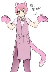 Rule 34 | 1boy, absurdres, animal ears, apron, bare arms, bow, brown eyes, buttons, cat boy, closed mouth, collared shirt, extra ears, feet out of frame, hands up, highres, igarashi (nogiheta), jitome, kemono friends, male focus, medium hair, mittens, multicolored hair, panther ears, panther tail, pants, paw mittens, peach panther (kemono friends), pink apron, pink bow, pink hair, pink mittens, pink pants, pink shirt, pink vest, shirt, short sleeves, simple background, sketch, smile, solo, standing, tail, two-tone hair, vest, waist apron, white background, white hair