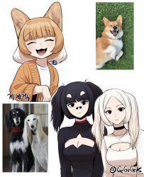 2girls absurdres animal animal_ears black_choker black_eyes black_hair black_sweater blunt_bangs breasts brown_hair choker cleavage cleavage_cutout closed_eyes closed_mouth clothing_cutout dog dog_ears dog_girl eyelashes gegegekman glasses grass hand_up highres jewelry long_hair long_sleeves looking_at_viewer lying medium_breasts multicolored_hair multiple_girls necklace on_back open_clothes open_mouth original parted_bangs personification photo-referenced photo_inset pince-nez red_choker reference_inset round_eyewear shiba_inu shirt short_eyebrows short_hair side-by-side sidelocks simple_background smile sweater thick_eyebrows turtleneck twintails twitter_username two-tone_hair two_side_up white_background white_hair white_shirt white_sweater wide_sleeves