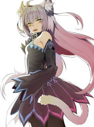 Rule 34 | 1girl, ahoge, animal ears, atalanta (fate), atalanta alter (fate), bare shoulders, belt collar, black collar, black dress, black pantyhose, cat ears, cat tail, collar, cowboy shot, detached sleeves, dress, fang, fate/apocrypha, fate/grand order, fate (series), grey hair, highres, long hair, looking at viewer, open mouth, pantyhose, redauto, simple background, skin fang, sleeves past fingers, sleeves past wrists, solo, tail, white background, yellow eyes