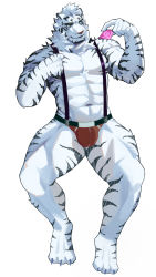 Rule 34 | 1boy, abs, alternate costume, animal ears, arknights, bara, blue eyes, bulge, condom, condom wrapper, full body, furry, furry male, highres, holding, holding condom, jockstrap, large pectorals, looking at viewer, male focus, male underwear, mountain (arknights), muscular, navel, pectorals, pointing, pointing at self, red male underwear, scar, scar across eye, scar on face, seductive smile, sharp toenails, short hair, simple background, smile, solo, suspenders, thick thighs, thighs, tiger boy, tiger ears, tiger stripes, toenails, ucncb, underwear, underwear only, white background, white fur, white hair