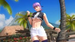 Rule 34 | 1girl, 3d, ayane (doa), beach, breasts, dead or alive, dead or alive 5, large breasts, midriff, official art, palm tree, panties, purple hair, solo, tecmo, tree, underboob, underwear