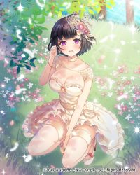 Rule 34 | 1girl, :d, between legs, black hair, blue sky, blush, bracelet, breasts, bride, choker, cleavage, clenched hand, collarbone, dress, earrings, flower, full body, grass, hair flower, hair ornament, hand between legs, hand up, high heels, highres, ichigo seika, jewelry, konohana sakuya (venus rumble), large breasts, looking at viewer, official art, open mouth, outdoors, purple eyes, sandals, short hair, skindentation, sky, smile, solo, squatting, thighhighs, venus rumble, wedding dress, white choker, white dress, white footwear, white thighhighs