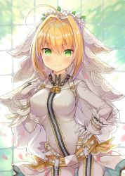 Rule 34 | &gt;:), 10s, 1girl, ahoge, backlighting, belt, belt buckle, belt skirt, blonde hair, blush, bodysuit, breasts, bridal veil, buckle, chain, closed mouth, contrapposto, cowboy shot, day, fate/extra, fate/extra ccc, fate (series), flower, flower wreath, full-length zipper, gloves, green eyes, hair between eyes, hair flower, hair intakes, hair ornament, hand on own hip, hand up, head wreath, highres, hip focus, indoors, light smile, lock, looking at viewer, medium breasts, narusegawa riko, nero claudius (bride) (fate), nero claudius (fate), nero claudius (fate) (all), padlock, petals, short hair, short hair with long locks, showgirl skirt, sidelocks, skirt, smile, solo, standing, sunlight, tree, turtleneck, v-shaped eyebrows, veil, white flower, white gloves, white skirt, window, wrist cuffs, zipper, zipper pull tab