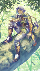Rule 34 | 1boy, absurdres, anbe yoshirou, animal on arm, armor, bird, bird on arm, boots, branch, brown eyes, cape, closed mouth, clothing request, commentary request, grey pants, hawkeye (seiken densetsu 3), highres, in tree, jewelry, leaf, looking at viewer, male focus, nature, outdoors, pants, ponytail, purple hair, ring, seiken densetsu, seiken densetsu 3, signature, sitting, sitting in tree, smile, solo, tree