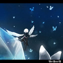 Rule 34 | 1girl, angel wings, bad id, bad pixiv id, bug, butterfly, highres, insect, letterboxed, multiple wings, pixiv fantasia, pixiv fantasia 5, solo, sym (s-a), wings
