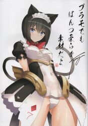 Rule 34 | 1girl, absurdres, animal ear fluff, animal ears, arms behind back, artist name, black hair, blue eyes, blush, bob cut, breasts, cat tail, closed mouth, frills, guilty princess, highres, leotard, looking at viewer, medium breasts, overskirt, puffy short sleeves, puffy sleeves, red ribbon, ribbon, scan, shiny skin, short hair, short sleeves, signature, simple background, smile, solo, tail, thighs, tony taka, translation request, white background