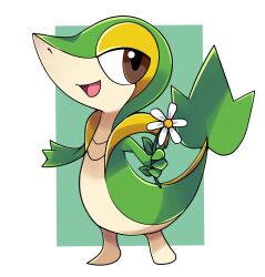 Rule 34 | :d, brown eyes, commentary, creatures (company), flower, full body, game freak, gen 5 pokemon, green background, happy, highres, holding, holding flower, nintendo, no humans, open mouth, pokemon, pokemon (creature), rei (esprei96), smile, snivy, solo, standing, tongue, white flower